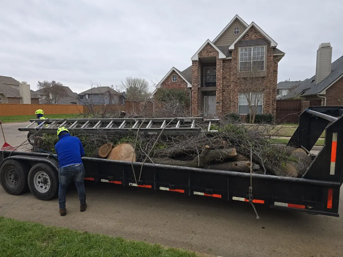 Expert Crown Reduction with proper safety equipment in Whitmore Lake